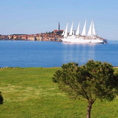 Stella Mare Apartments Rovinj Dış mekan fotoğraf